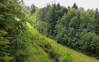Laskowa pośredni - 17-06-2026 11:59