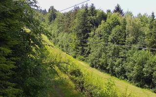 Laskowa pośredni - 17-06-2026 12:10
