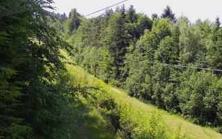 Laskowa pośredni - 17-06-2026 12:21