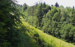 Laskowa pośredni - 17-06-2026 12:32