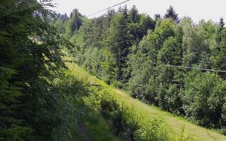Laskowa pośredni - 17-06-2026 12:42