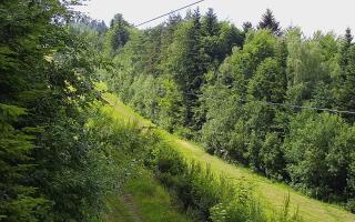 Laskowa pośredni - 17-06-2026 13:04