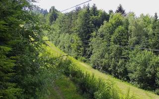 Laskowa pośredni - 17-06-2026 13:15
