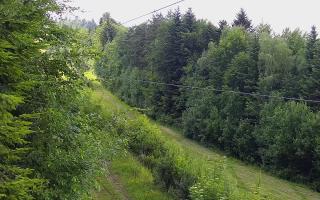 Laskowa pośredni - 17-06-2026 13:26
