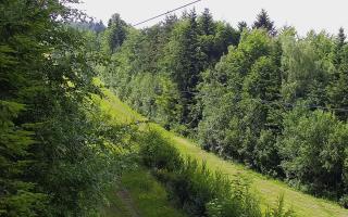 Laskowa pośredni - 17-06-2026 13:37