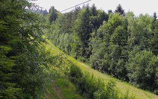 Laskowa pośredni - 17-06-2026 13:48