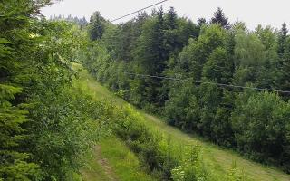 Laskowa pośredni - 17-06-2026 13:59