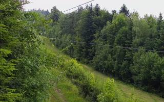 Laskowa pośredni - 17-06-2026 14:10
