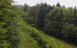 Laskowa pośredni - 17-06-2026 14:21