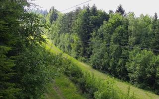 Laskowa pośredni - 17-06-2026 14:32