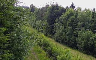 Laskowa pośredni - 17-06-2026 14:54