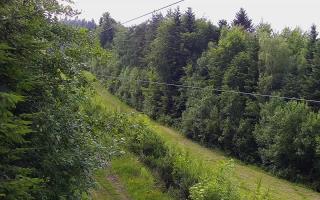 Laskowa pośredni - 17-06-2026 15:05