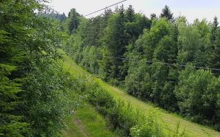 Laskowa pośredni - 17-06-2026 15:16