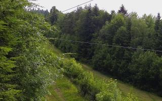 Laskowa pośredni - 17-06-2026 15:27