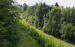 Laskowa pośredni - 17-06-2026 15:38