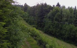 Laskowa pośredni - 17-06-2026 15:49