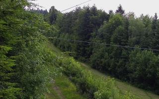 Laskowa pośredni - 17-06-2026 16:22
