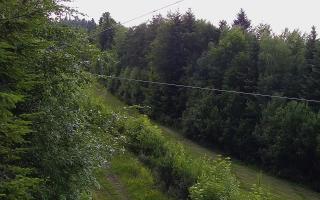 Laskowa pośredni - 17-06-2026 17:06