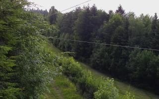 Laskowa pośredni - 17-06-2026 17:17