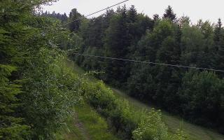 Laskowa pośredni - 17-06-2026 17:28