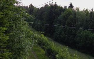 Laskowa pośredni - 17-06-2026 17:39