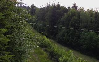Laskowa pośredni - 17-06-2026 17:50