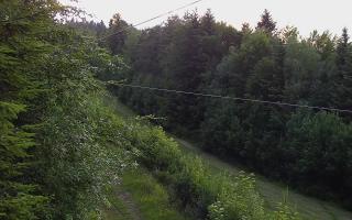 Laskowa pośredni - 17-06-2026 18:01