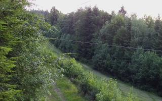 Laskowa pośredni - 17-06-2026 18:23