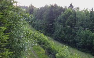 Laskowa pośredni - 17-06-2026 18:34