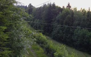 Laskowa pośredni - 17-06-2026 18:56