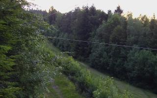 Laskowa pośredni - 17-06-2026 19:07