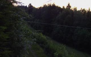 Laskowa pośredni - 17-06-2026 19:18