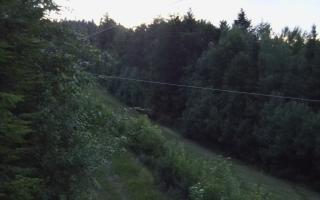Laskowa pośredni - 17-06-2026 19:29