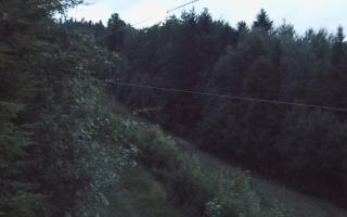Laskowa pośredni - 17-06-2026 19:40