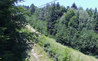 Laskowa pośredni - 27-06-2026 10:02
