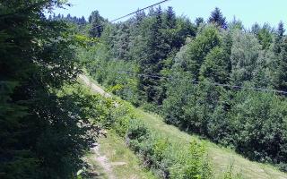 Laskowa pośredni - 27-06-2026 10:24
