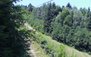 Laskowa pośredni - 27-06-2026 10:35