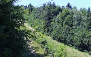 Laskowa pośredni - 27-06-2026 11:19