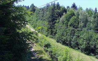 Laskowa pośredni - 27-06-2026 11:30