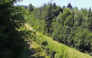 Laskowa pośredni - 27-06-2026 11:41
