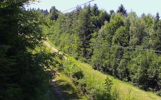 Laskowa pośredni - 27-06-2026 12:03
