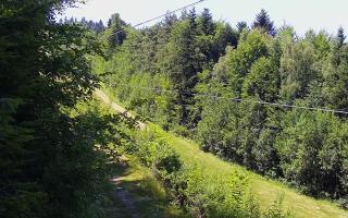 Laskowa pośredni - 27-06-2026 12:14