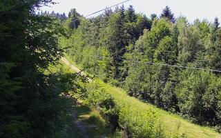 Laskowa pośredni - 27-06-2026 12:25