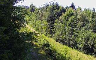 Laskowa pośredni - 27-06-2026 12:36