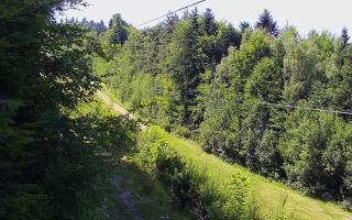 Laskowa pośredni - 27-06-2026 12:47