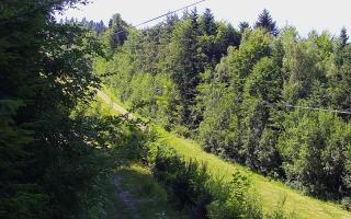Laskowa pośredni - 27-06-2026 13:09