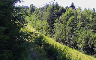 Laskowa pośredni - 27-06-2026 13:19