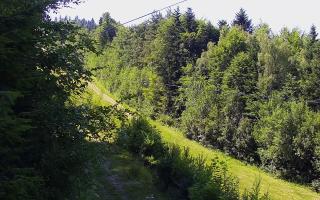 Laskowa pośredni - 27-06-2026 13:30
