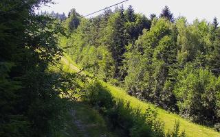 Laskowa pośredni - 27-06-2026 13:41