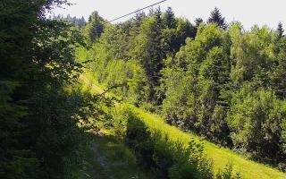 Laskowa pośredni - 27-06-2026 13:52